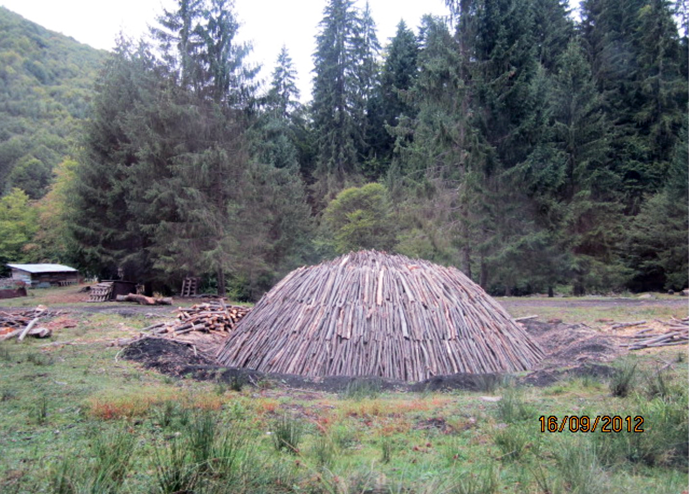 Image14